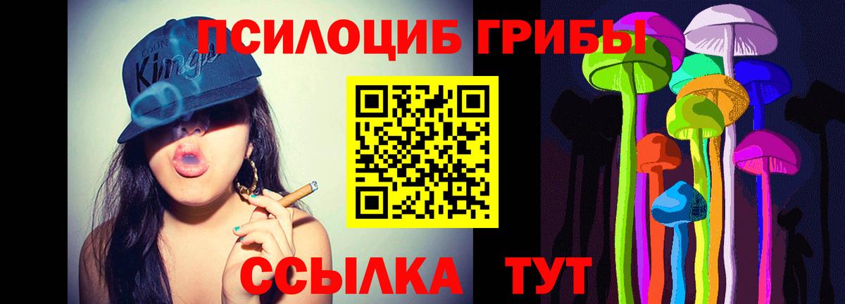 Черногорск  где купить наркоту  Вход с VPN  Псилоцибиновые грибы прущие грибы 